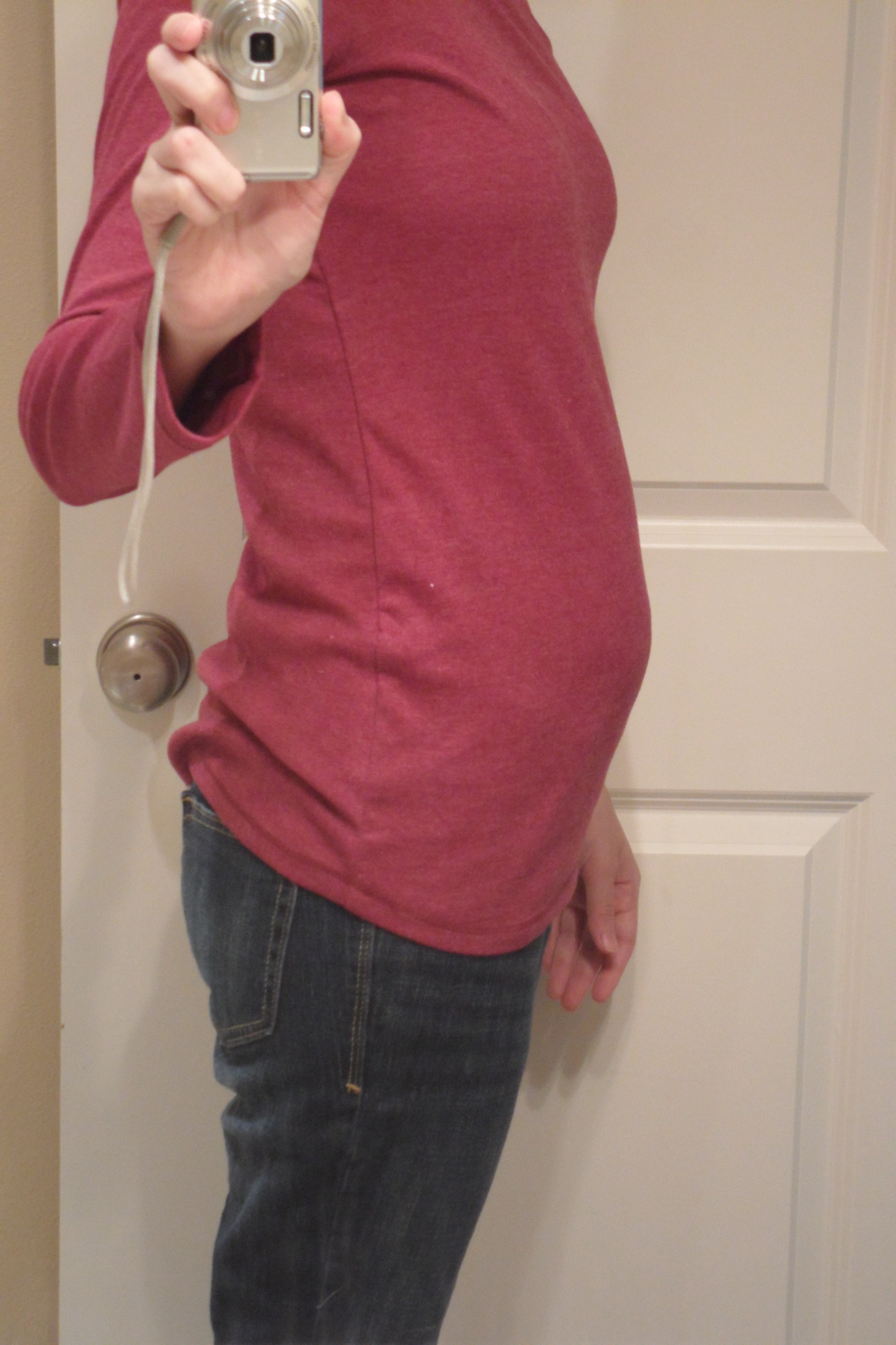 14+weeks+pregnant+with+twins